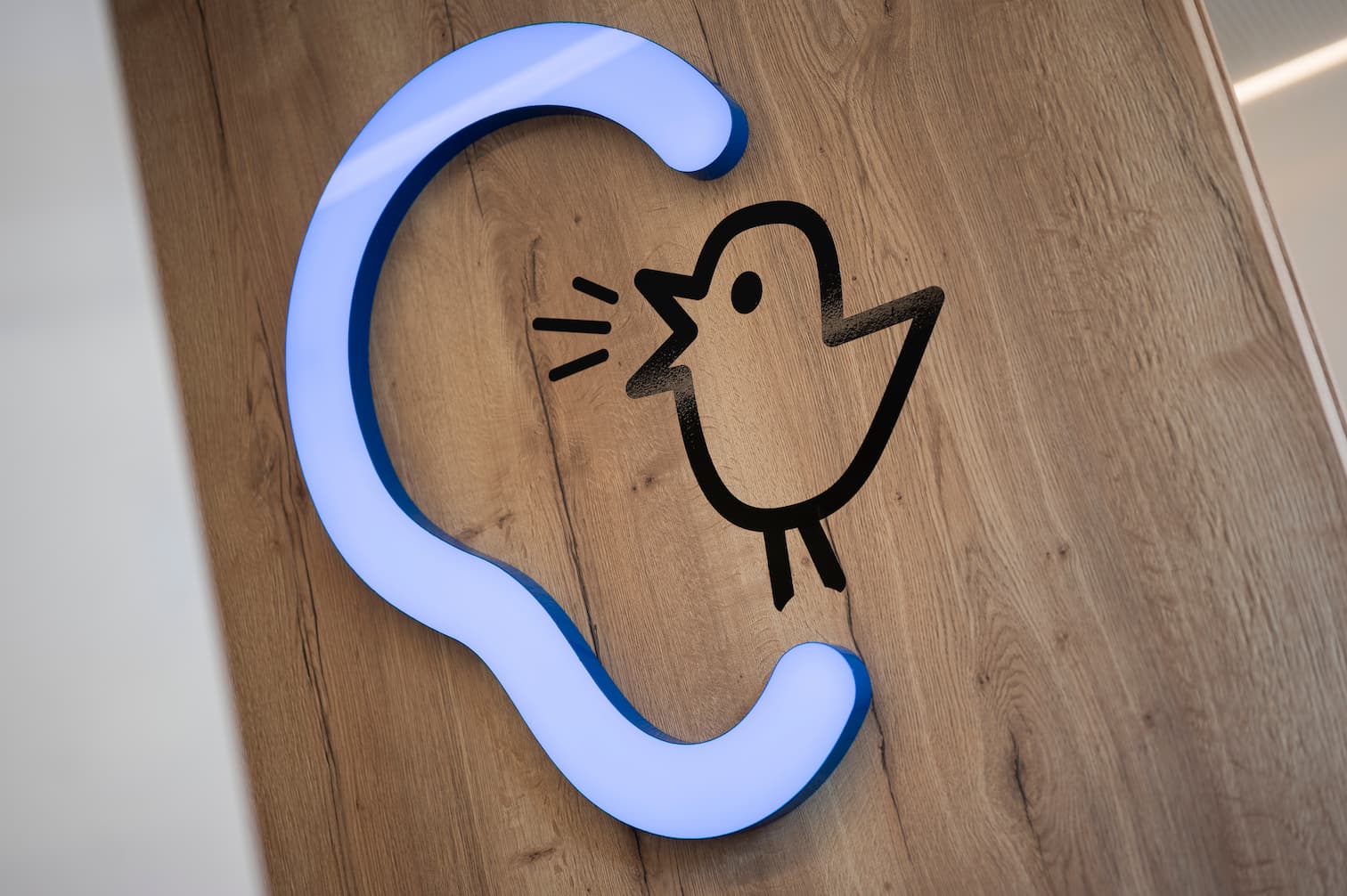 Leuchtendes Logo von Bagus mit stilisiertem Ohr und Vogel auf Holzfläche